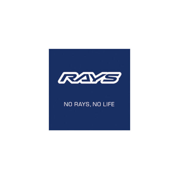 RAYS Official Slap Stickers